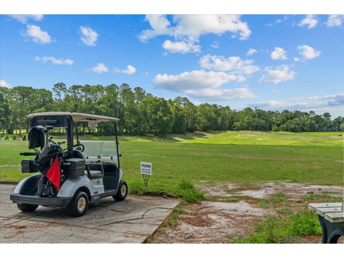 118 Birchmont Drive Deland FL 32724 V4944018 image52