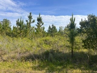 118 (BLK 356 LOT 9) Tropicana Drive Indian Lake Estates FL 33855 TB8506906 image1