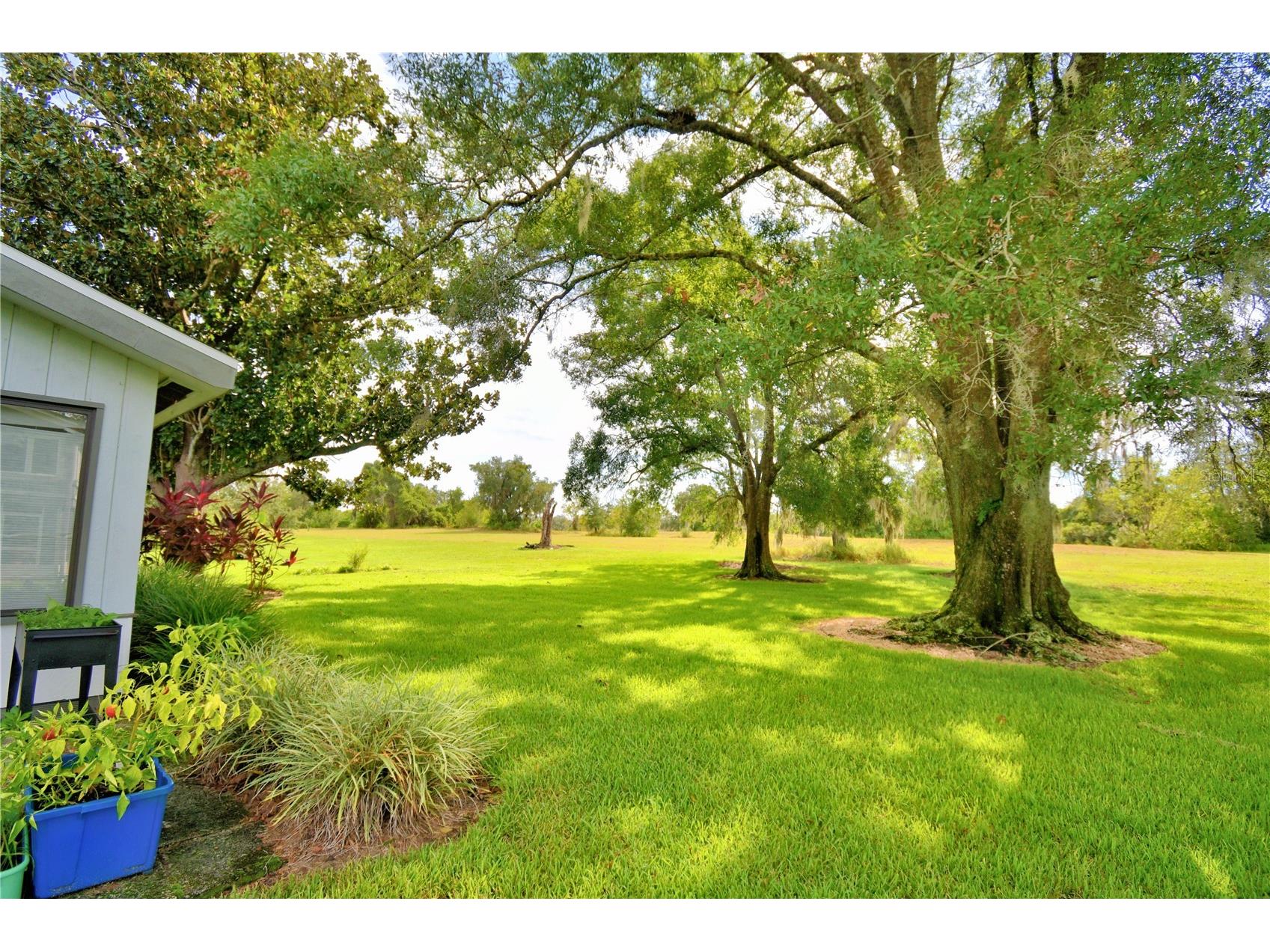 118 Canterbury Drive Haines City FL 33844 P4936062 image69