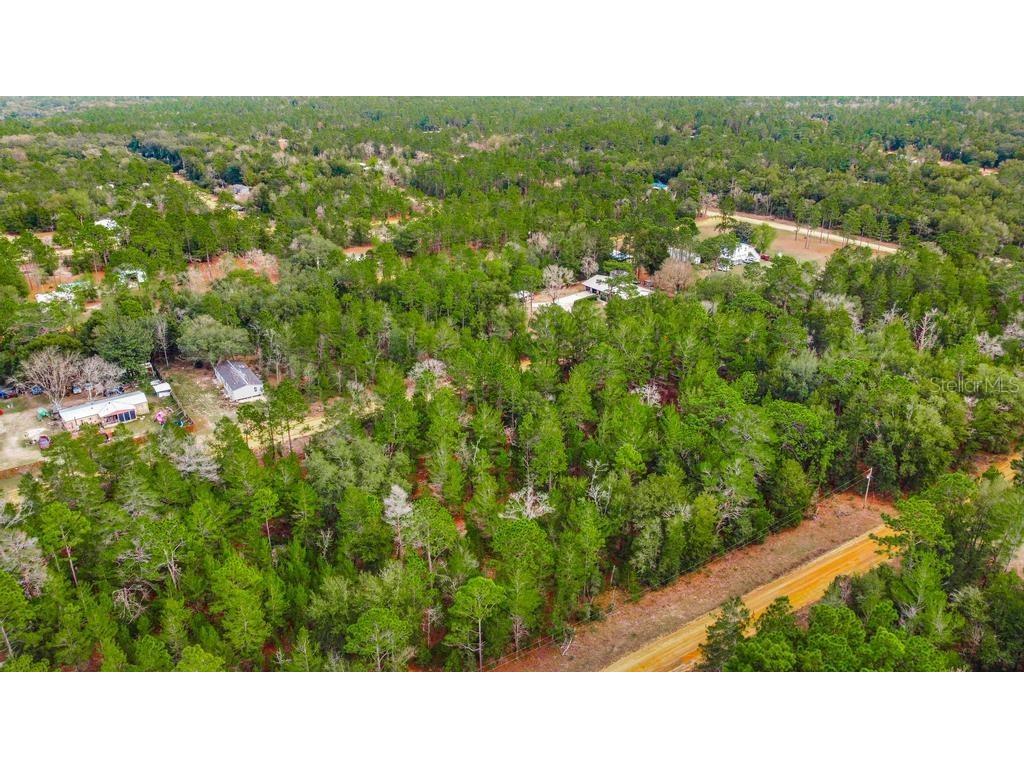 118 Cardinal Street Interlachen FL 32148 O6283315 image10