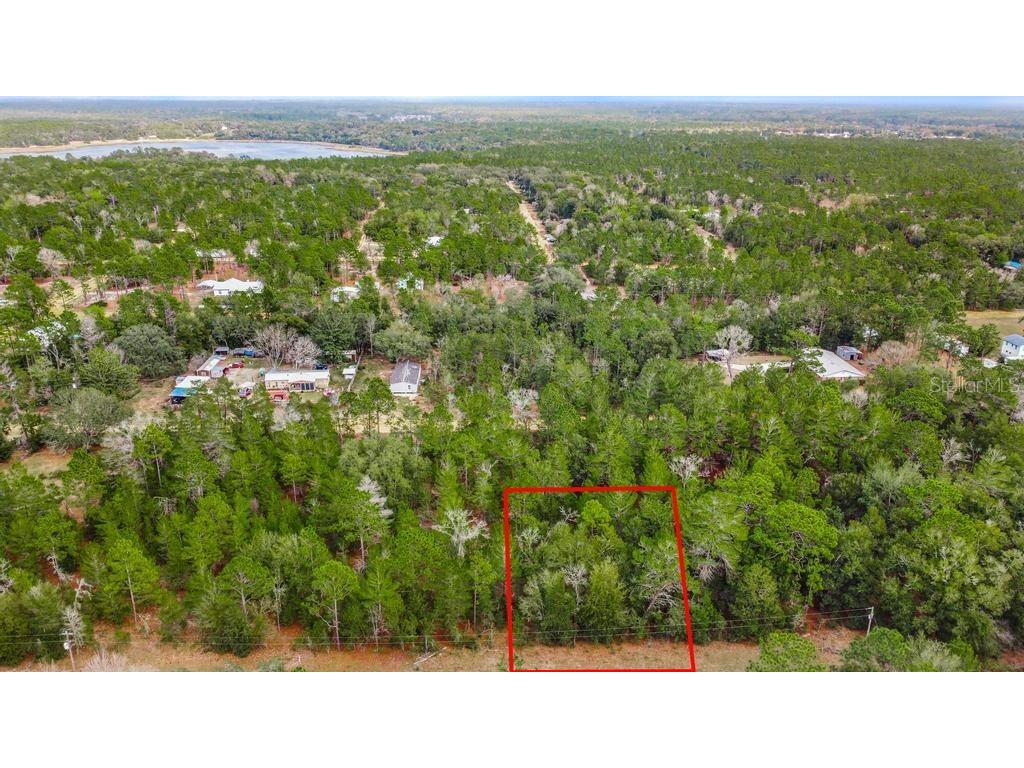 118 Cardinal Street Interlachen FL 32148 O6283315 image11