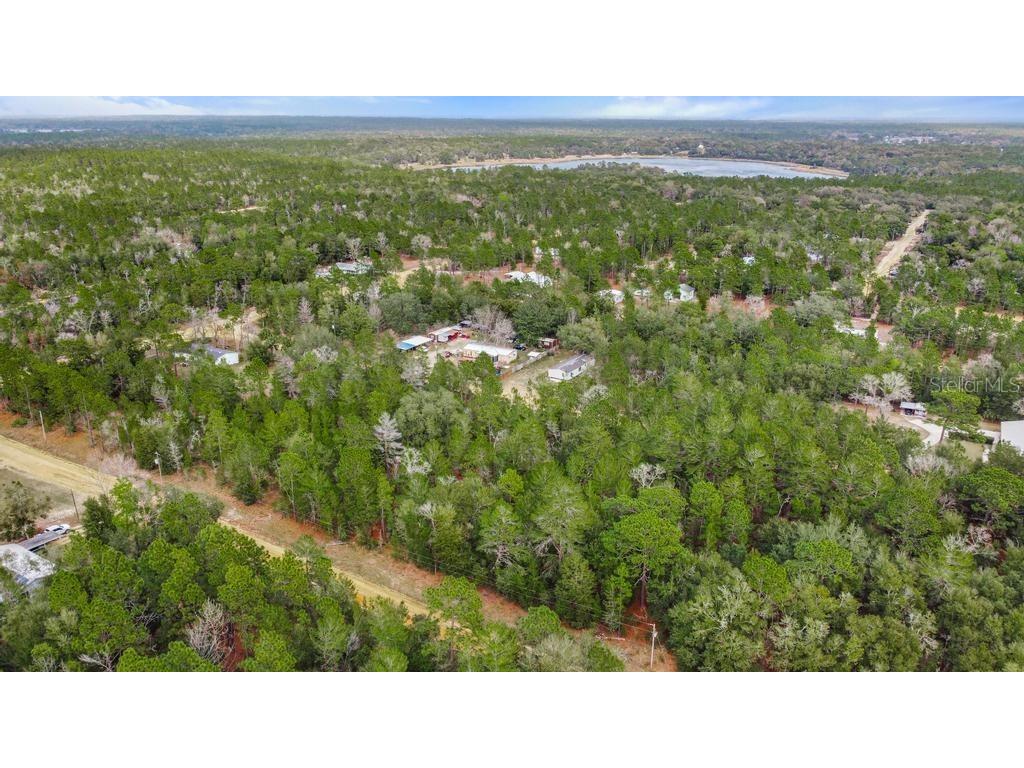 118 Cardinal Street Interlachen FL 32148 O6283315 image13