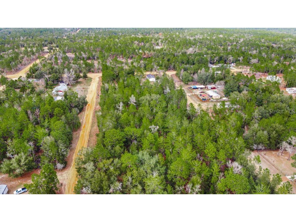 118 Cardinal Street Interlachen FL 32148 O6283315 image14