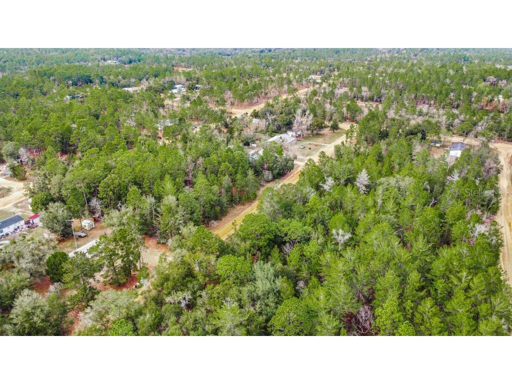 118 Cardinal Street Interlachen FL 32148 O6283315 image15