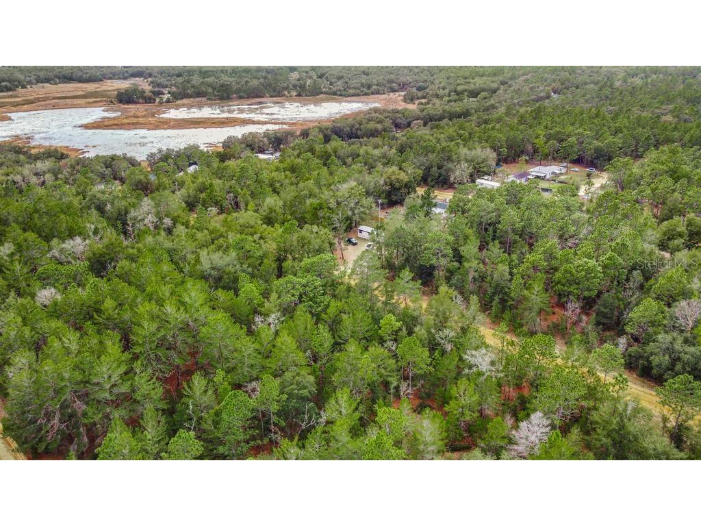 118 Cardinal Street Interlachen FL 32148 O6283315 image17