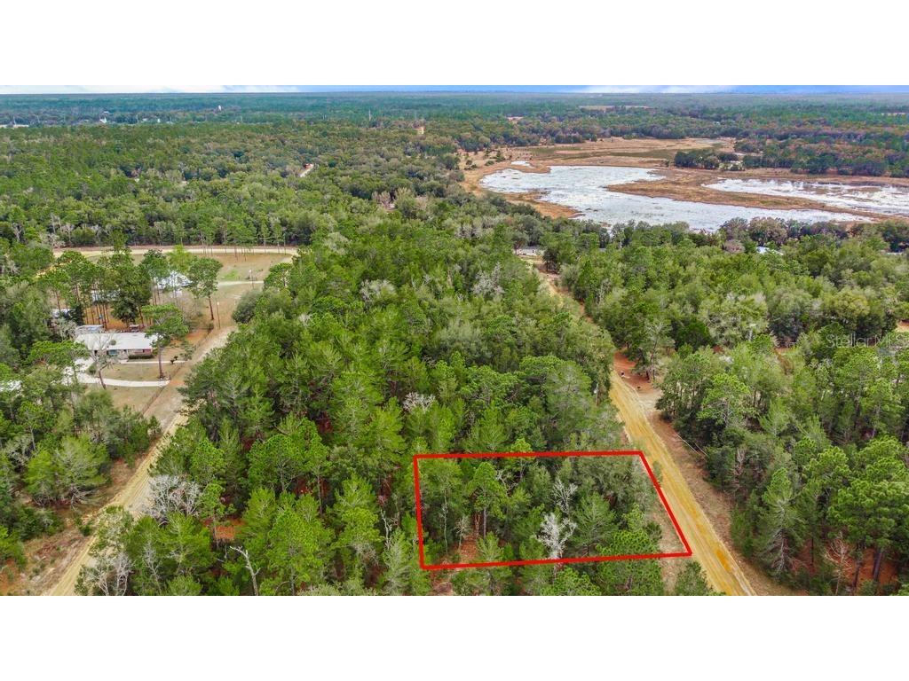 118 Cardinal Street Interlachen FL 32148 O6283315 image18