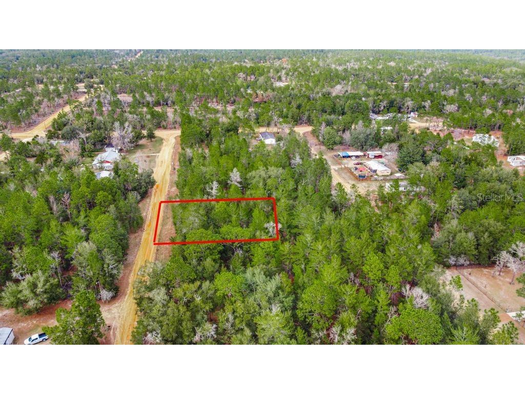 118 Cardinal Street Interlachen FL 32148 O6283315 image2