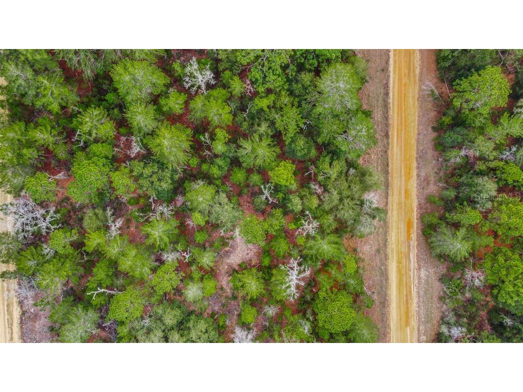 118 Cardinal Street Interlachen FL 32148 O6283315 image21