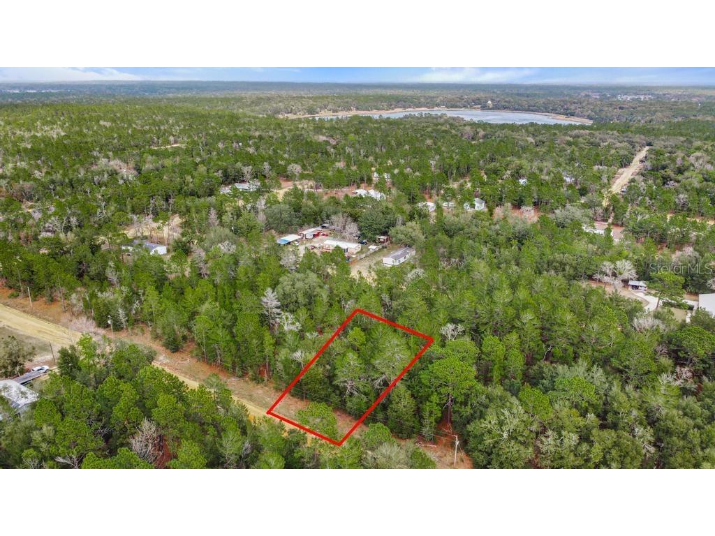 118 Cardinal Street Interlachen FL 32148 O6283315 image3