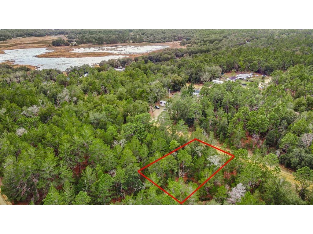 118 Cardinal Street Interlachen FL 32148 O6283315 image4