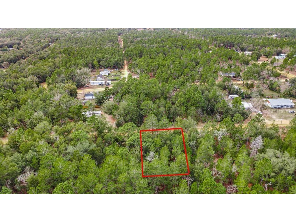 118 Cardinal Street Interlachen FL 32148 O6283315 image5