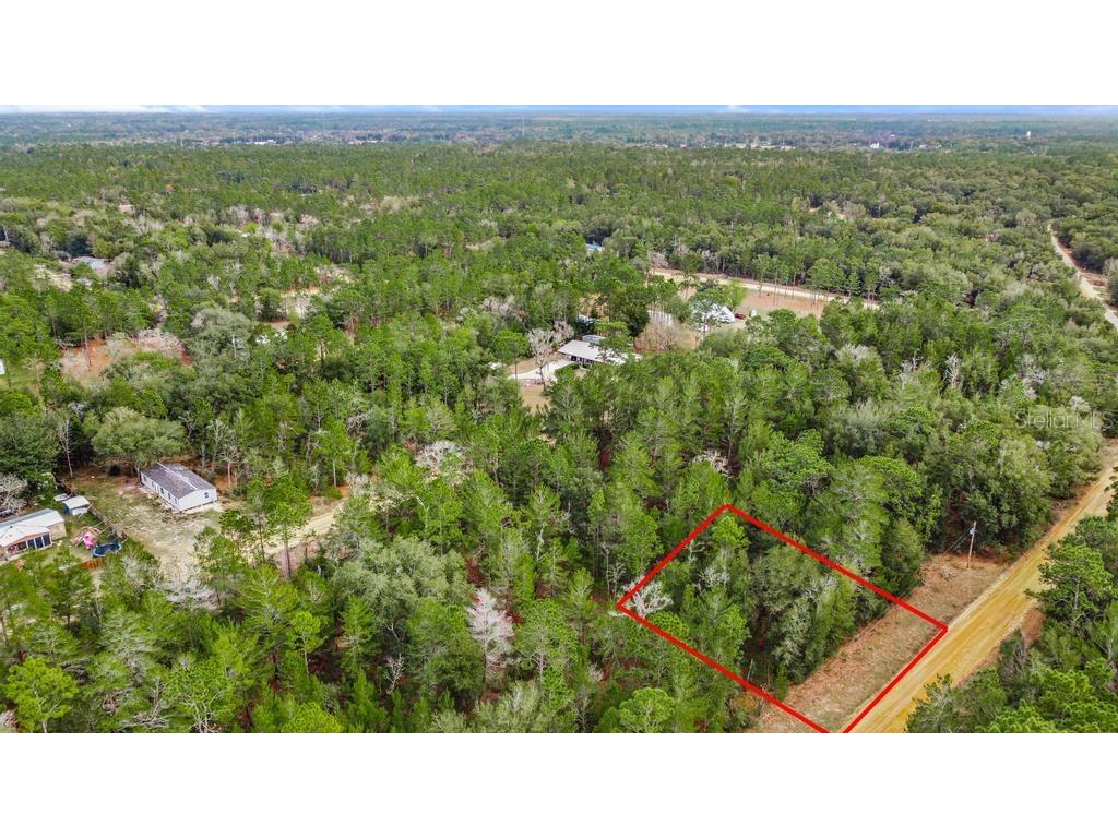 118 Cardinal Street Interlachen FL 32148 O6283315 image6