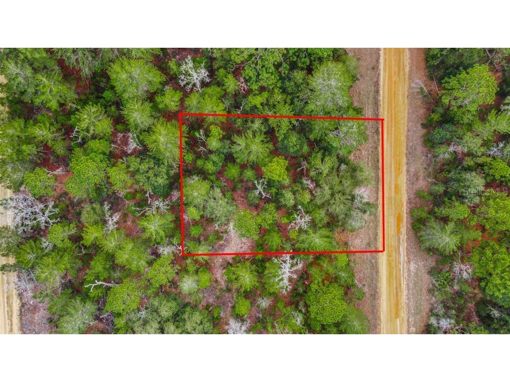 118 Cardinal Street Interlachen FL 32148 O6283315 image7