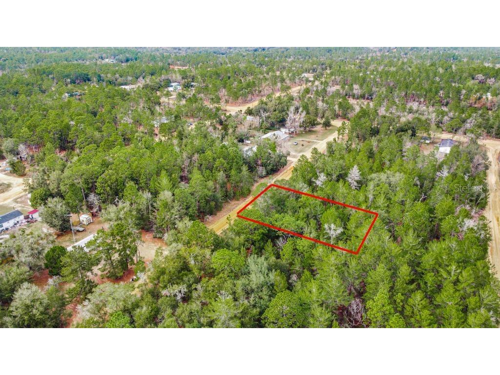 118 Cardinal Street Interlachen FL 32148 O6283315 image8