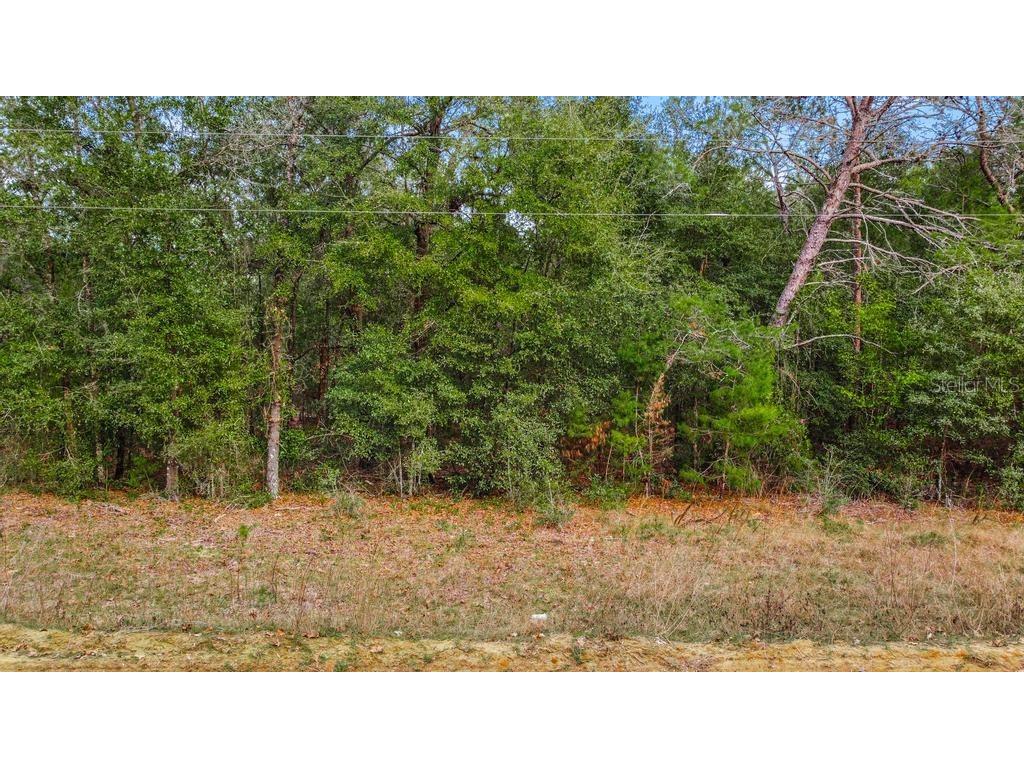 118 Cardinal Street Interlachen FL 32148 O6283315 image9