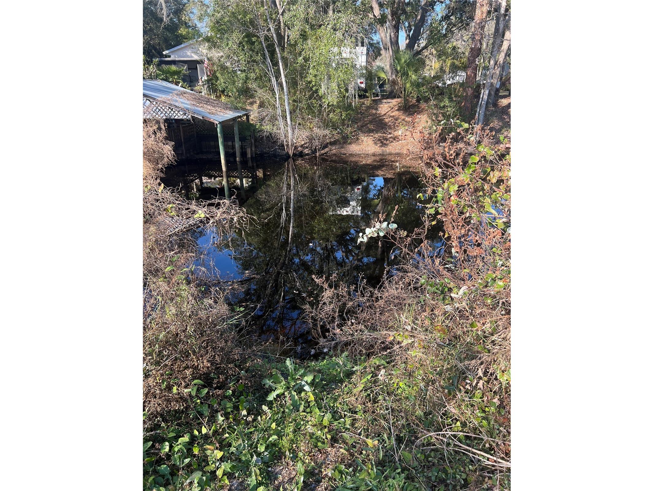 118 Creekside Road Satsuma FL 32189 - DUNN'S CREEK O6379594 image3