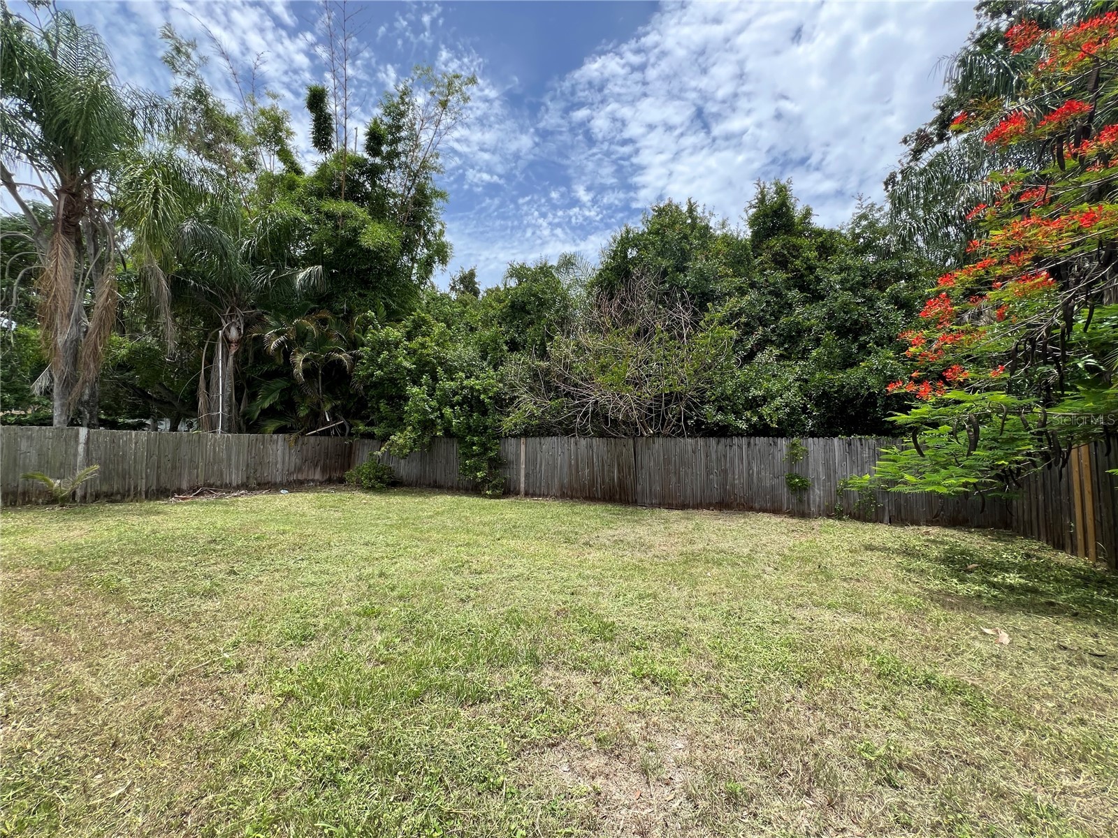 118 David Avenue Clearwater FL 33759 TB8514436 image37