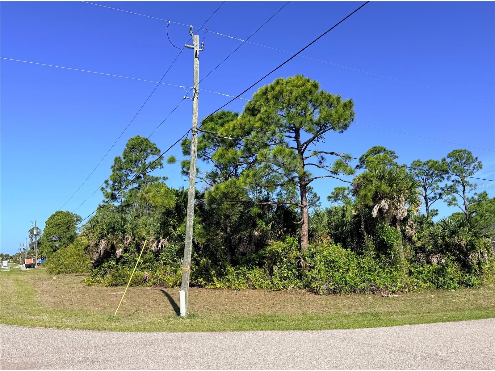 118 David Boulevard Rotonda West FL 33947 D6147967 image3