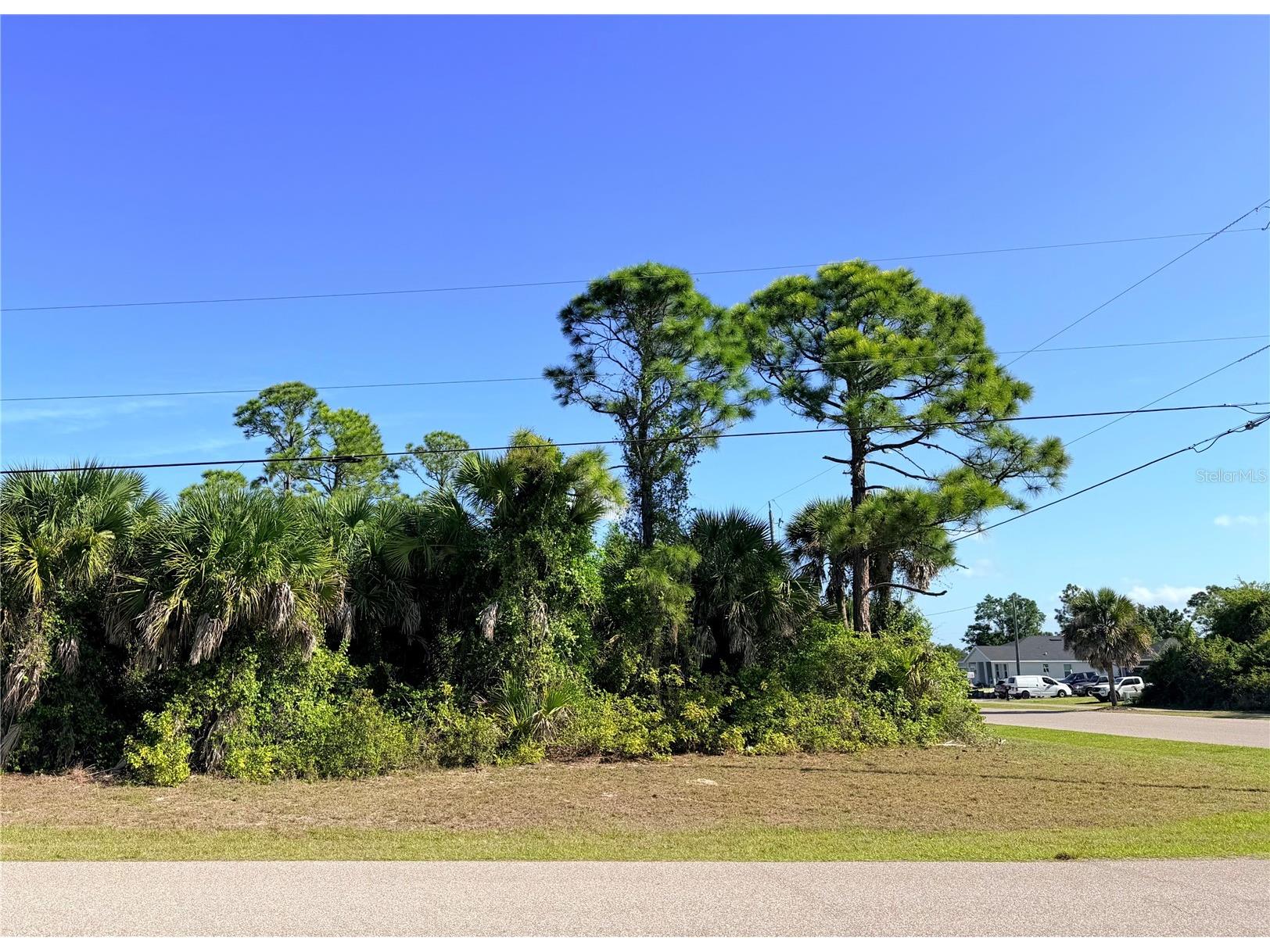 118 David Boulevard Rotonda West FL 33947 D6147967 image4