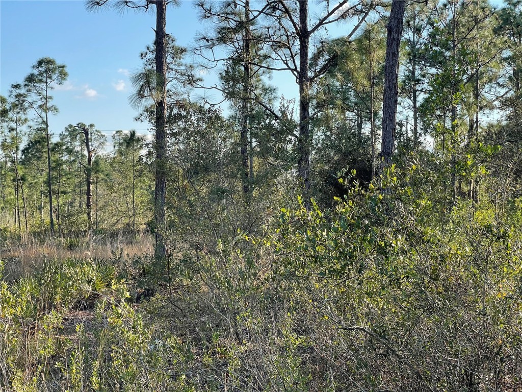 118 Laguna Drive Indian Lake Estates FL 33855 B4901172 image1