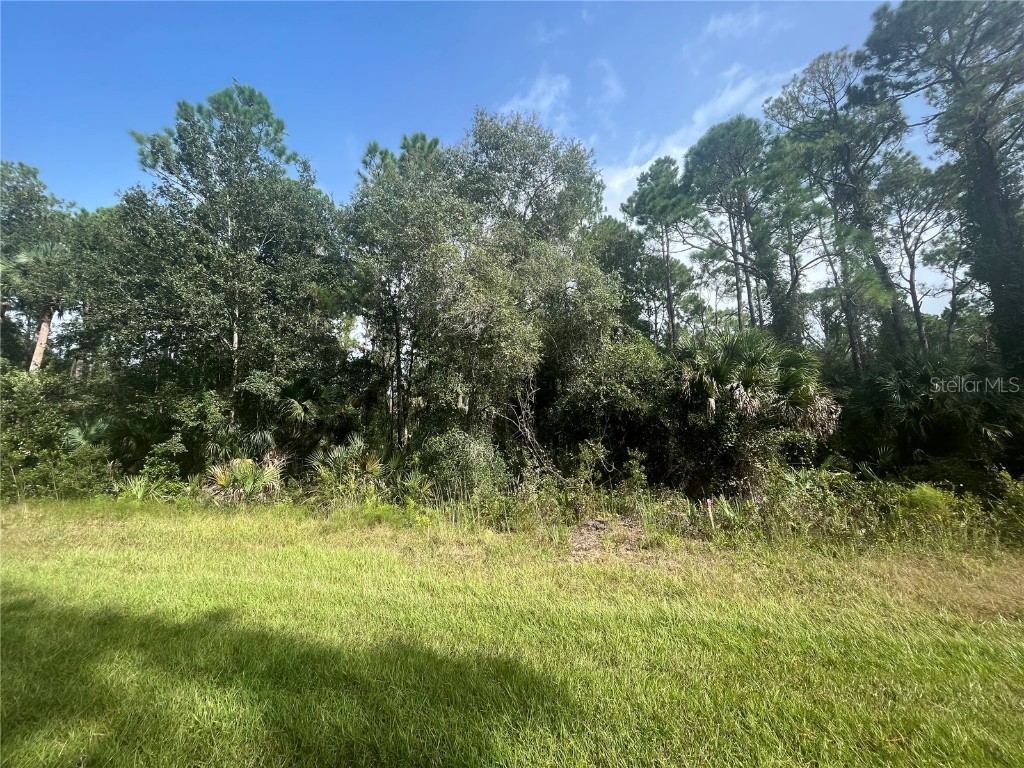 118 Laisy Drive Georgetown FL 32139 OK223266 image1
