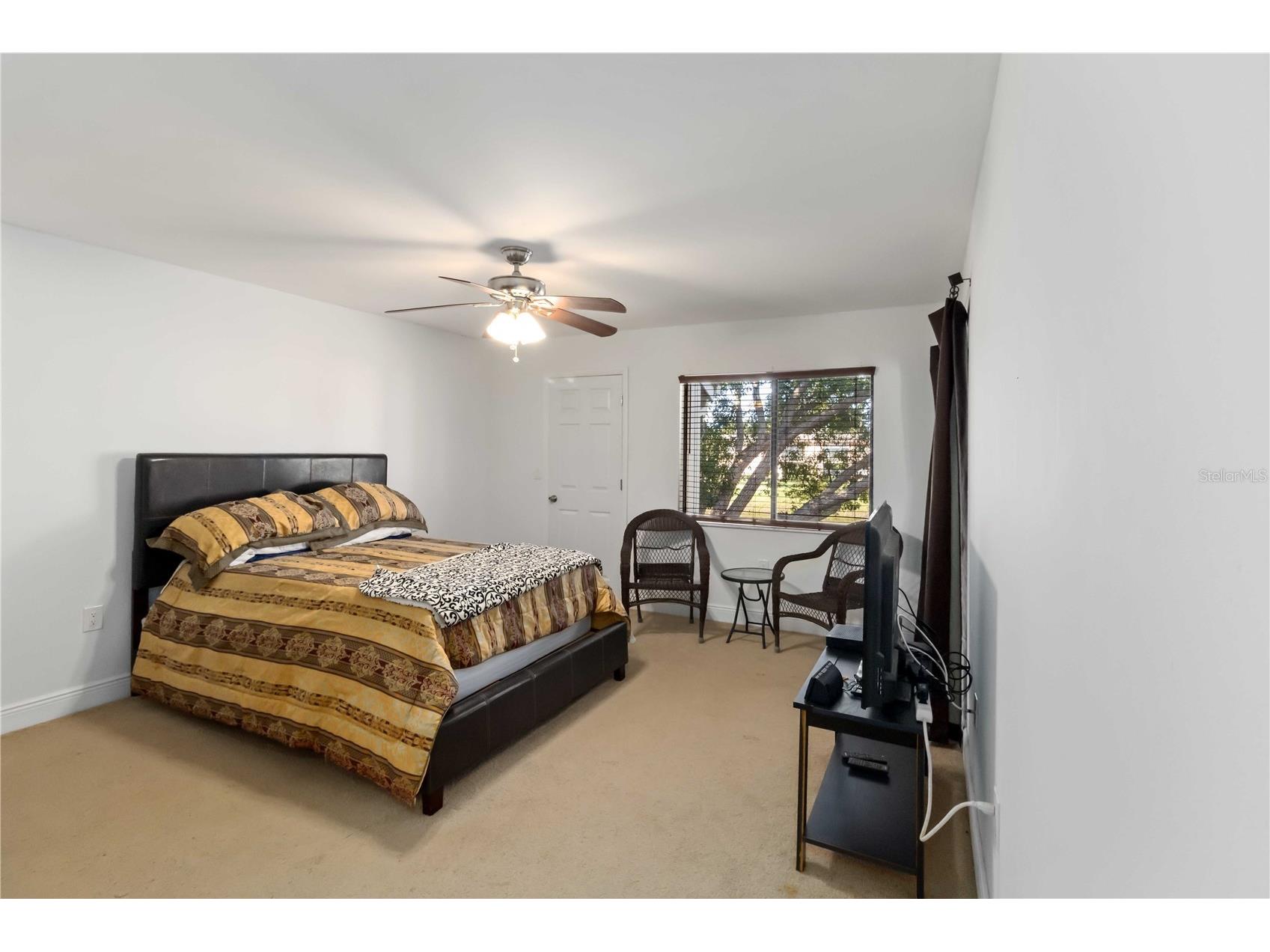 118 Lakeview Way #118 Oldsmar FL 34677 A4677135 image18