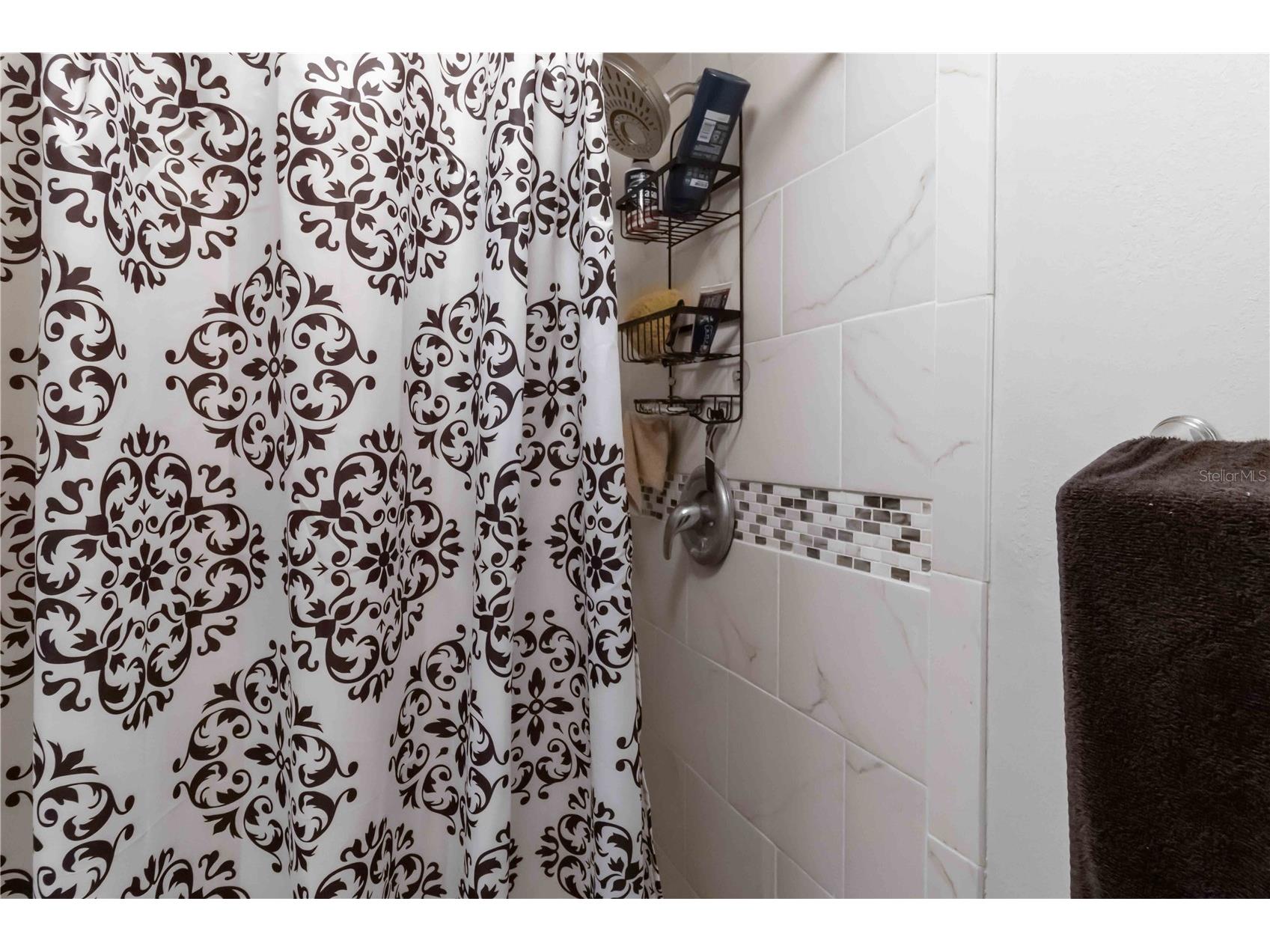 118 Lakeview Way #118 Oldsmar FL 34677 A4677135 image23
