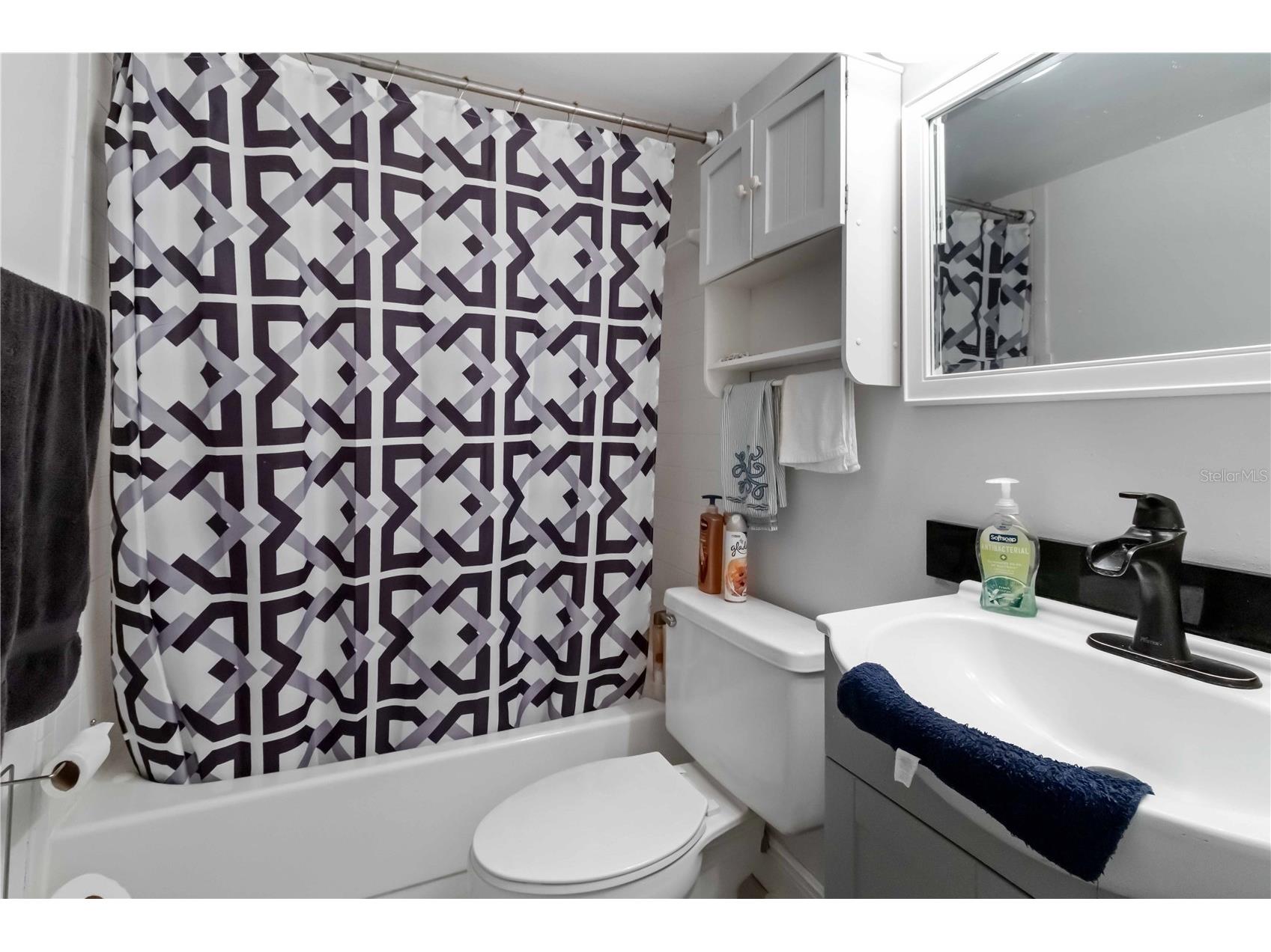 118 Lakeview Way #118 Oldsmar FL 34677 A4677135 image27