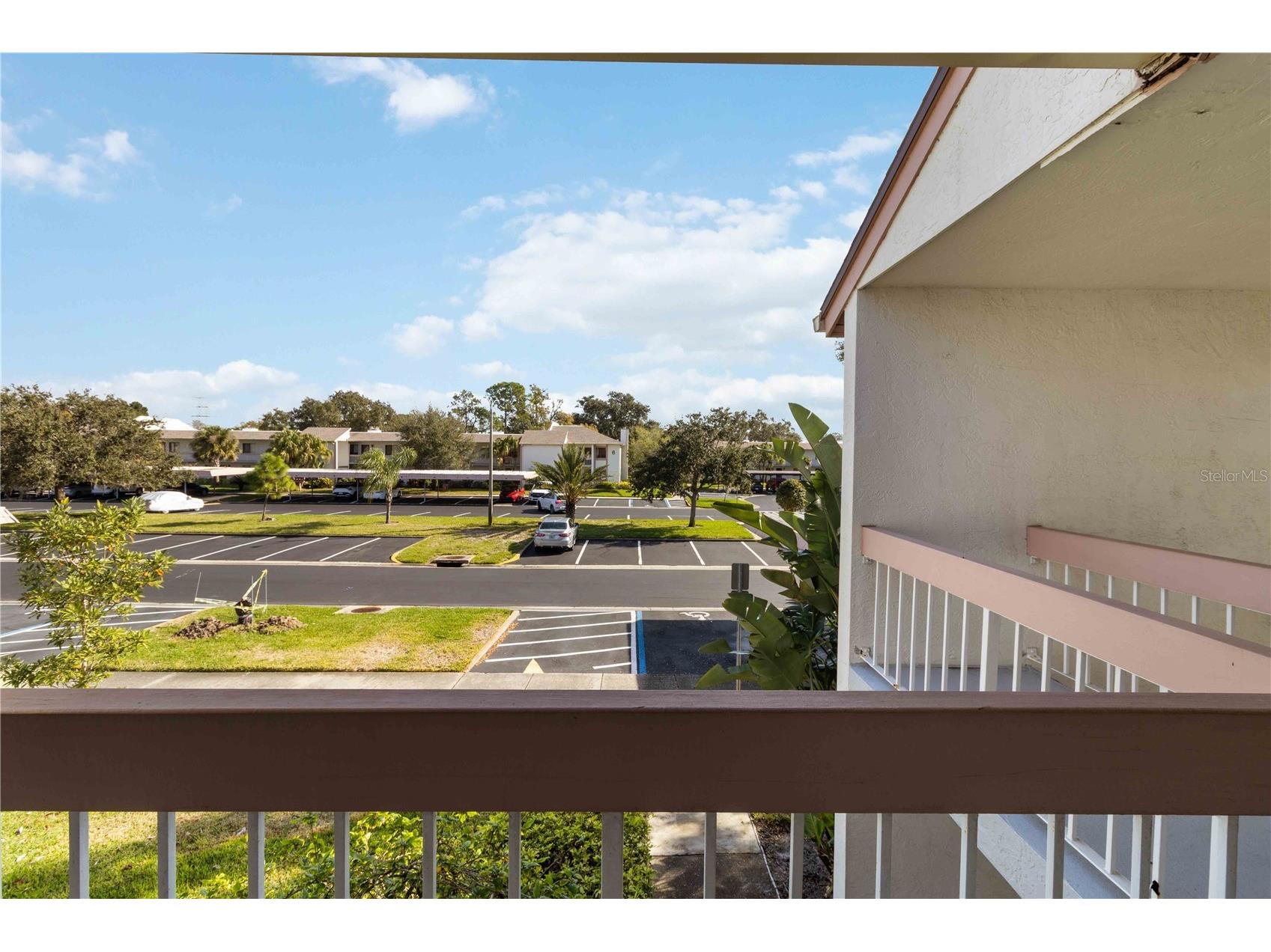 118 Lakeview Way #118 Oldsmar FL 34677 A4677135 image3