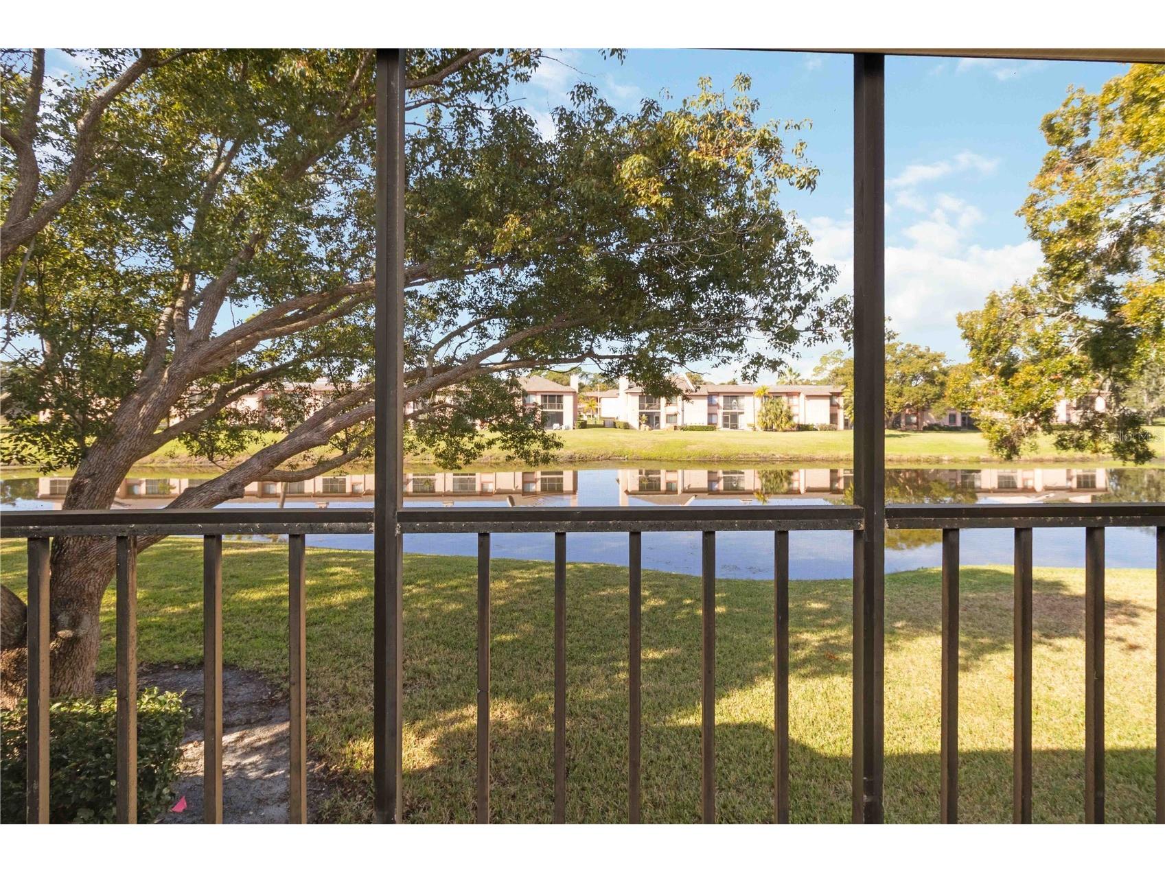 118 Lakeview Way #118 Oldsmar FL 34677 A4677135 image30