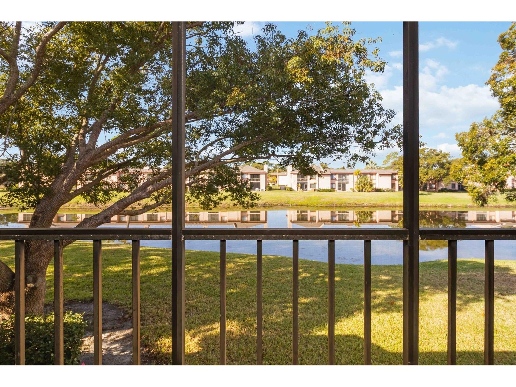 118 Lakeview Way #118 Oldsmar FL 34677 A4677135 image31