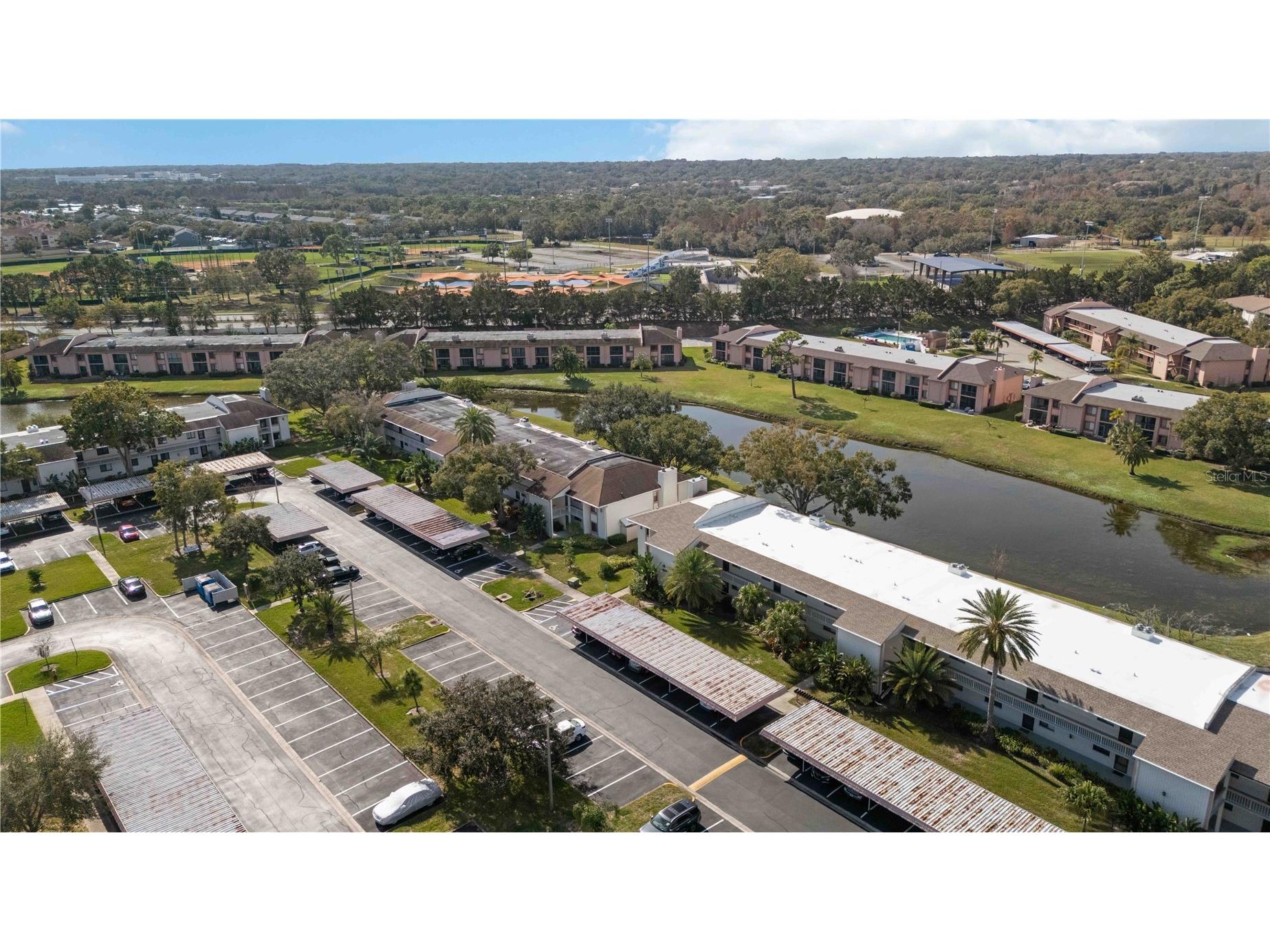 118 Lakeview Way #118 Oldsmar FL 34677 A4677135 image35