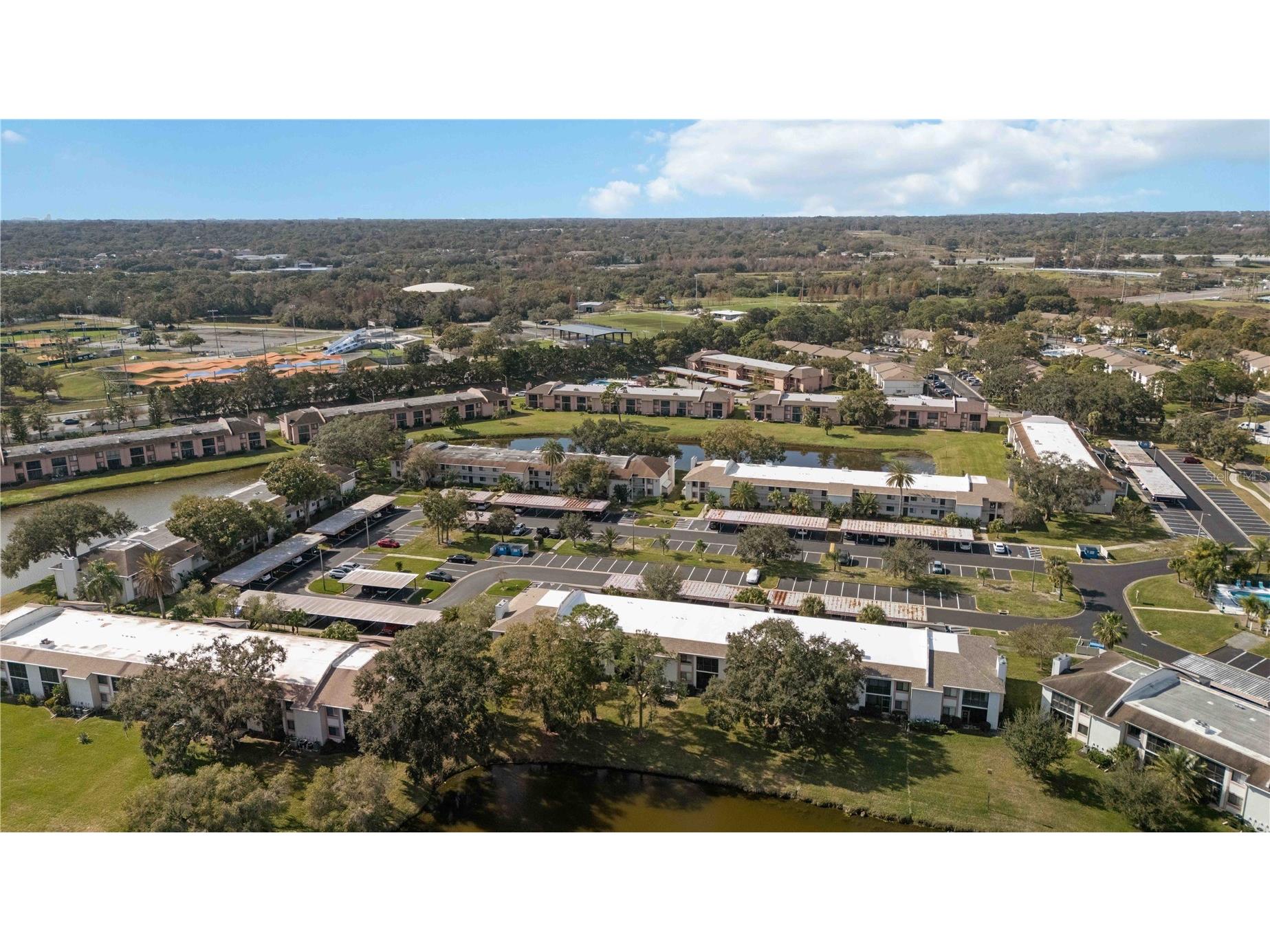 118 Lakeview Way #118 Oldsmar FL 34677 A4677135 image36