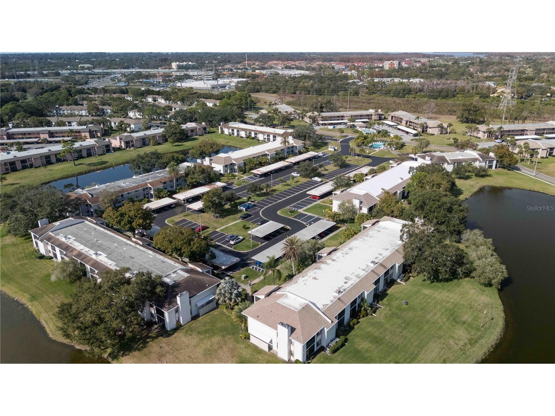 118 Lakeview Way #118 Oldsmar FL 34677 A4677135 image37