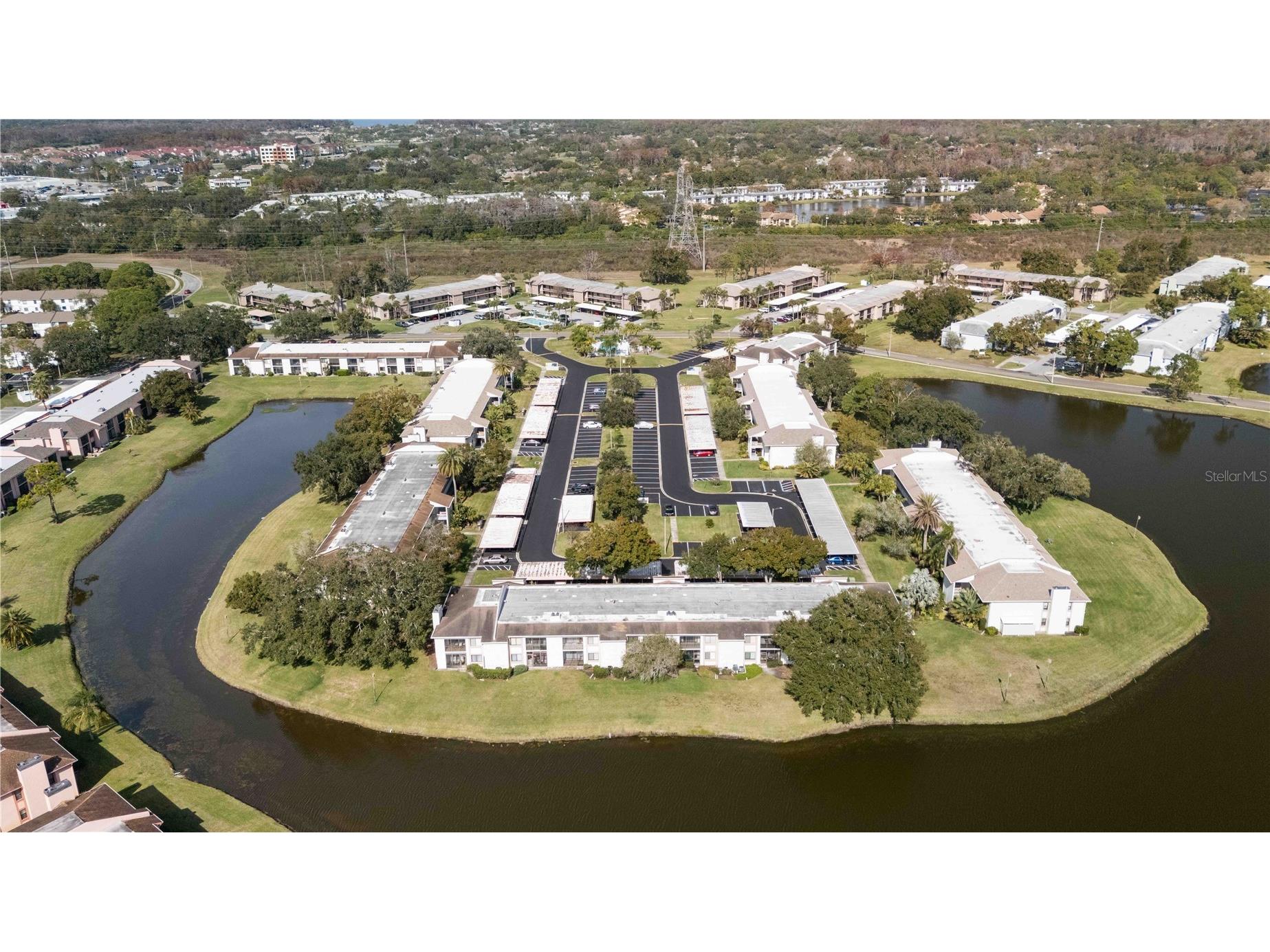 118 Lakeview Way #118 Oldsmar FL 34677 A4677135 image38