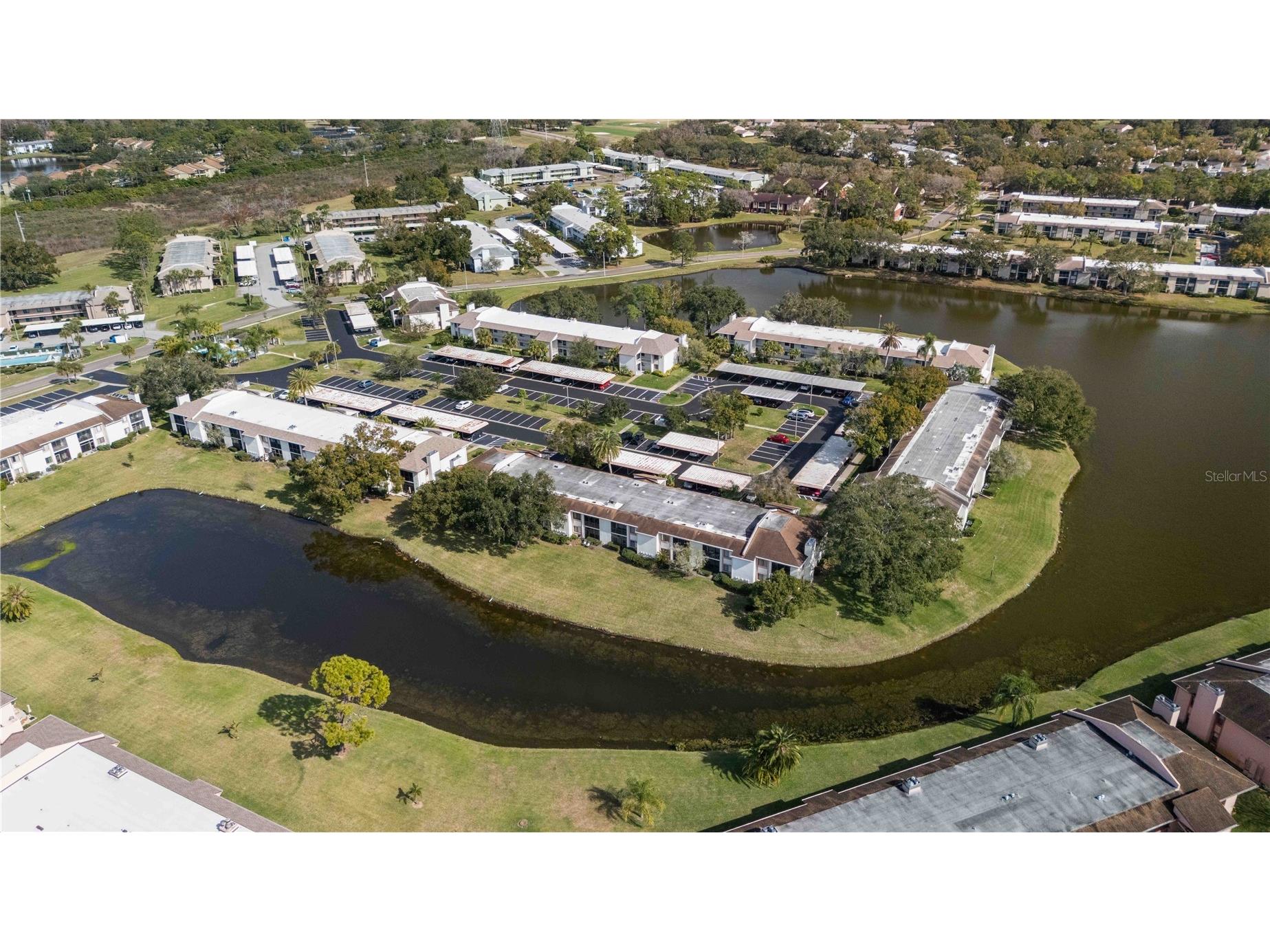 118 Lakeview Way #118 Oldsmar FL 34677 A4677135 image39
