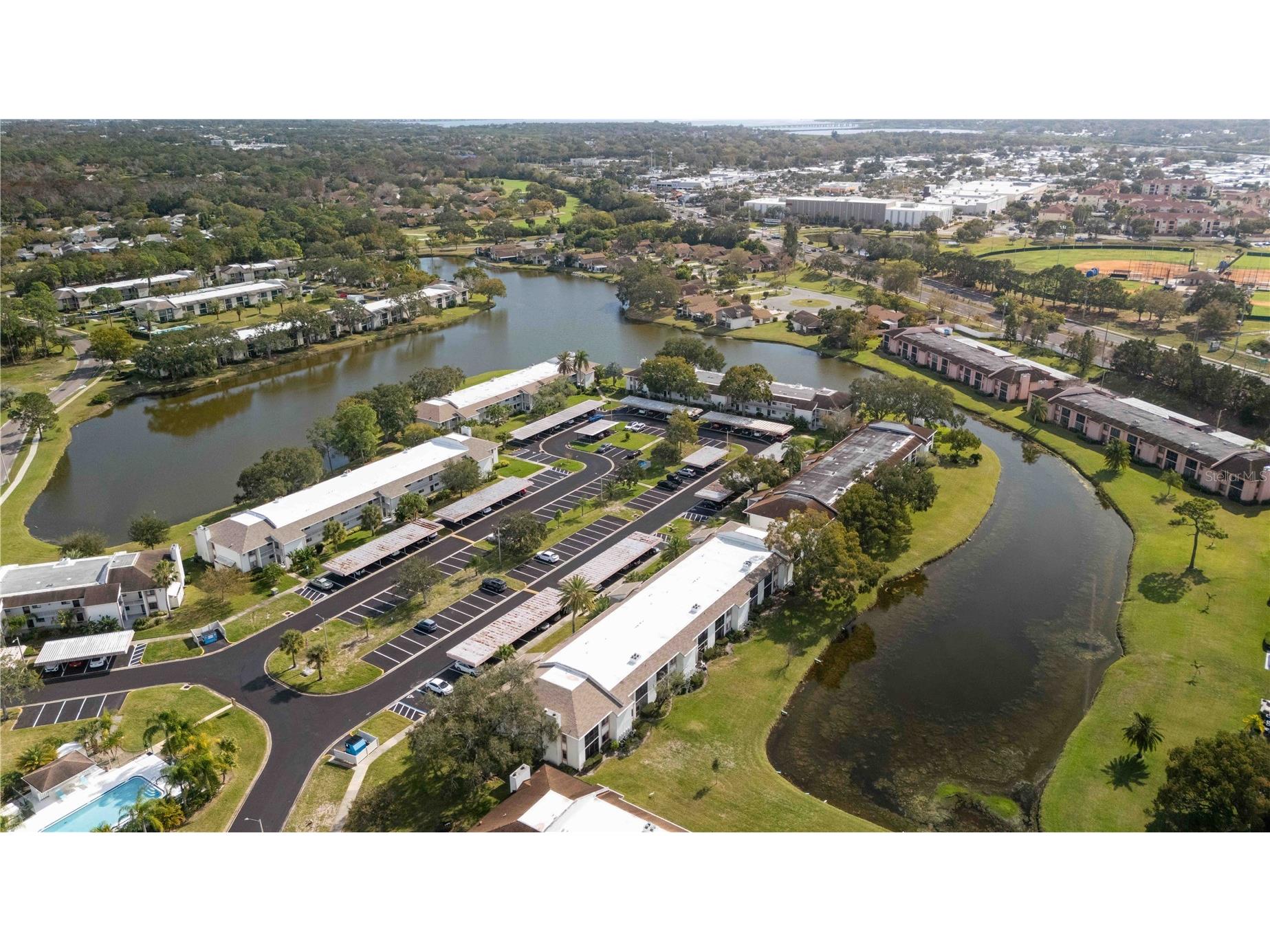 118 Lakeview Way #118 Oldsmar FL 34677 A4677135 image40