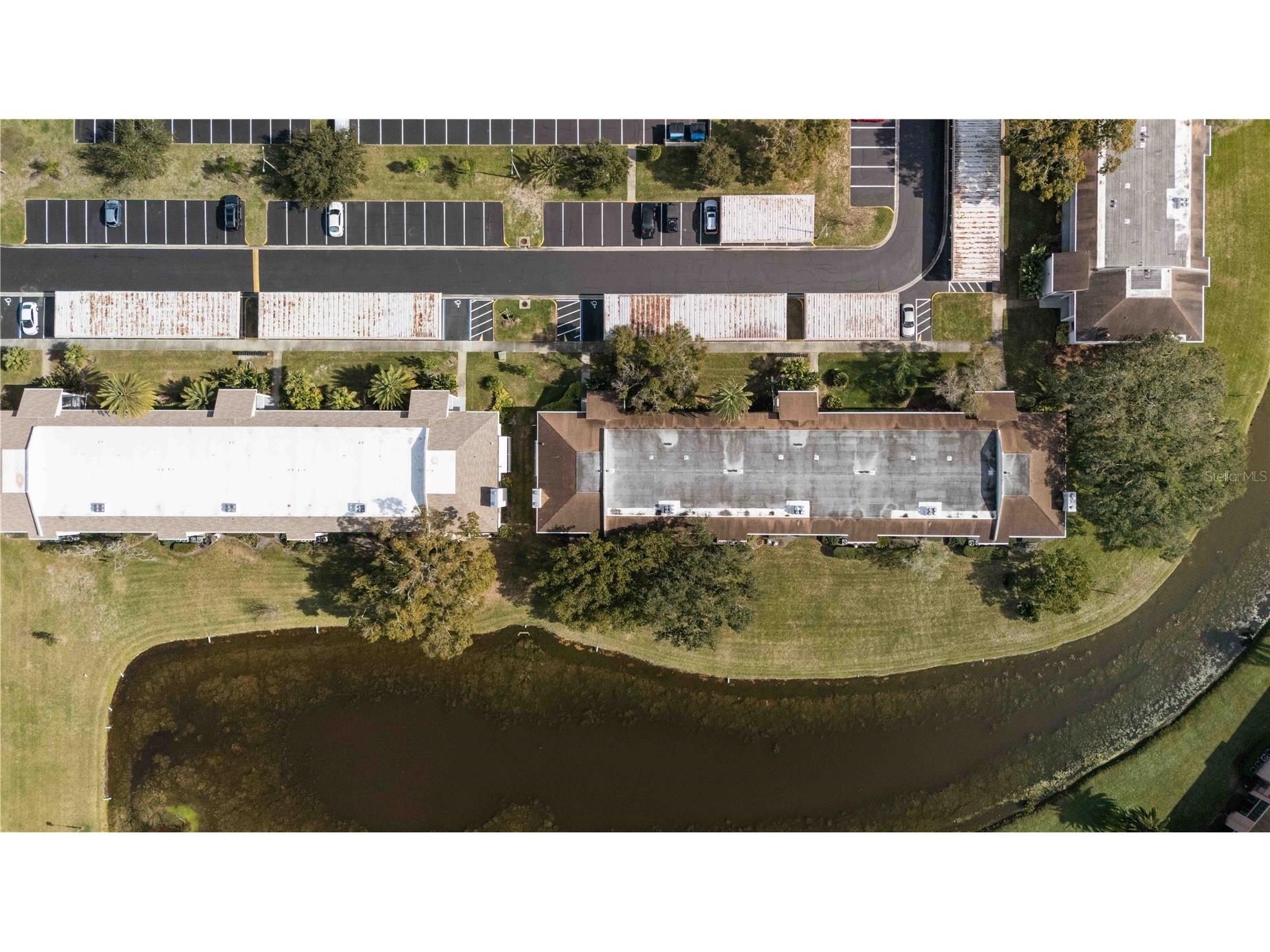 118 Lakeview Way #118 Oldsmar FL 34677 A4677135 image41