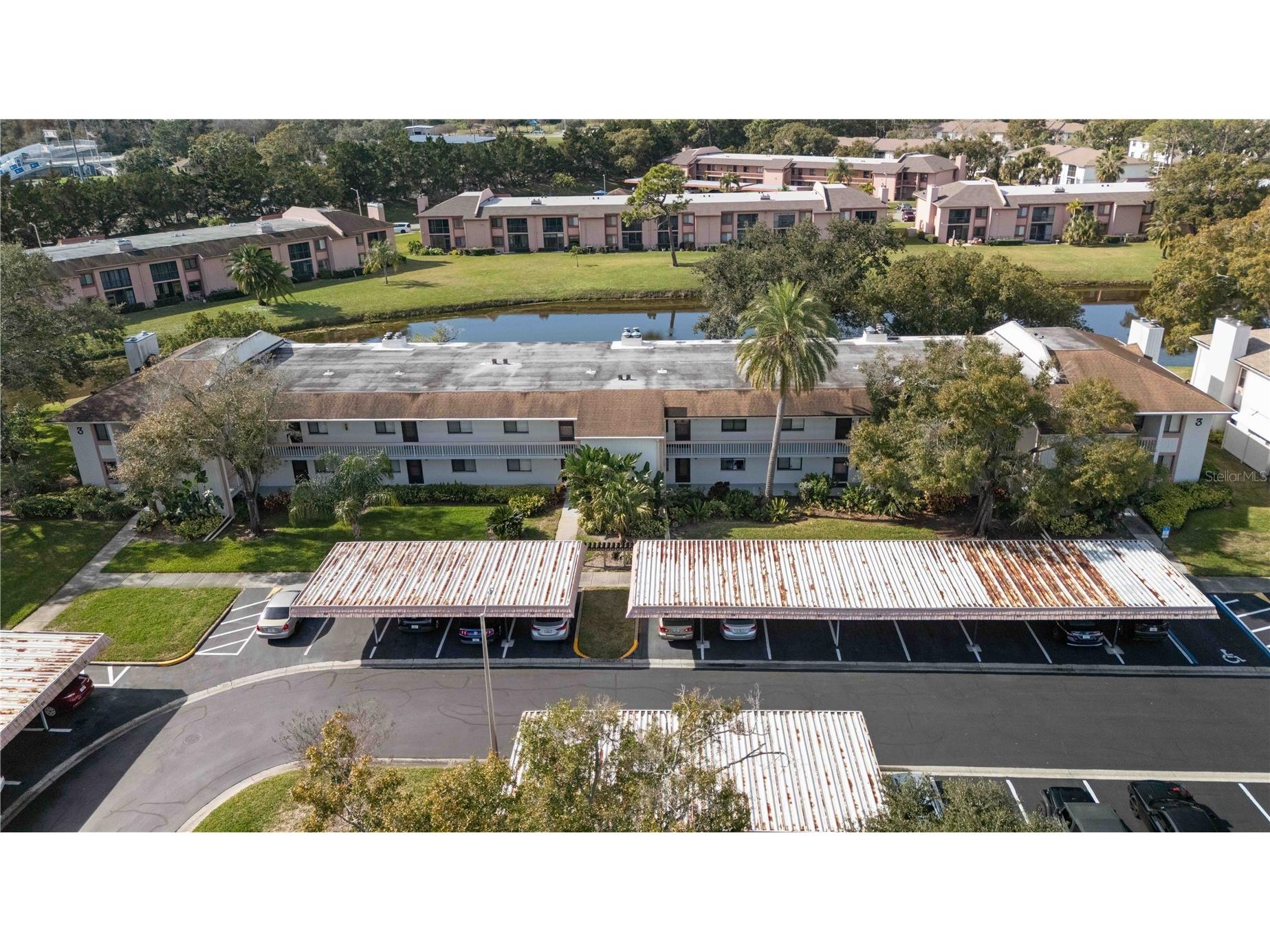 118 Lakeview Way #118 Oldsmar FL 34677 A4677135 image43