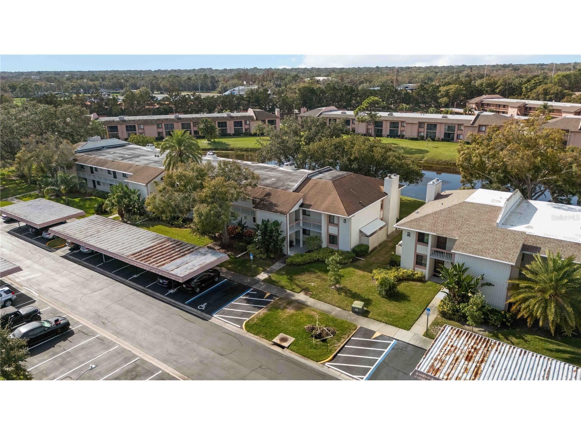 118 Lakeview Way #118 Oldsmar FL 34677 A4677135 image44