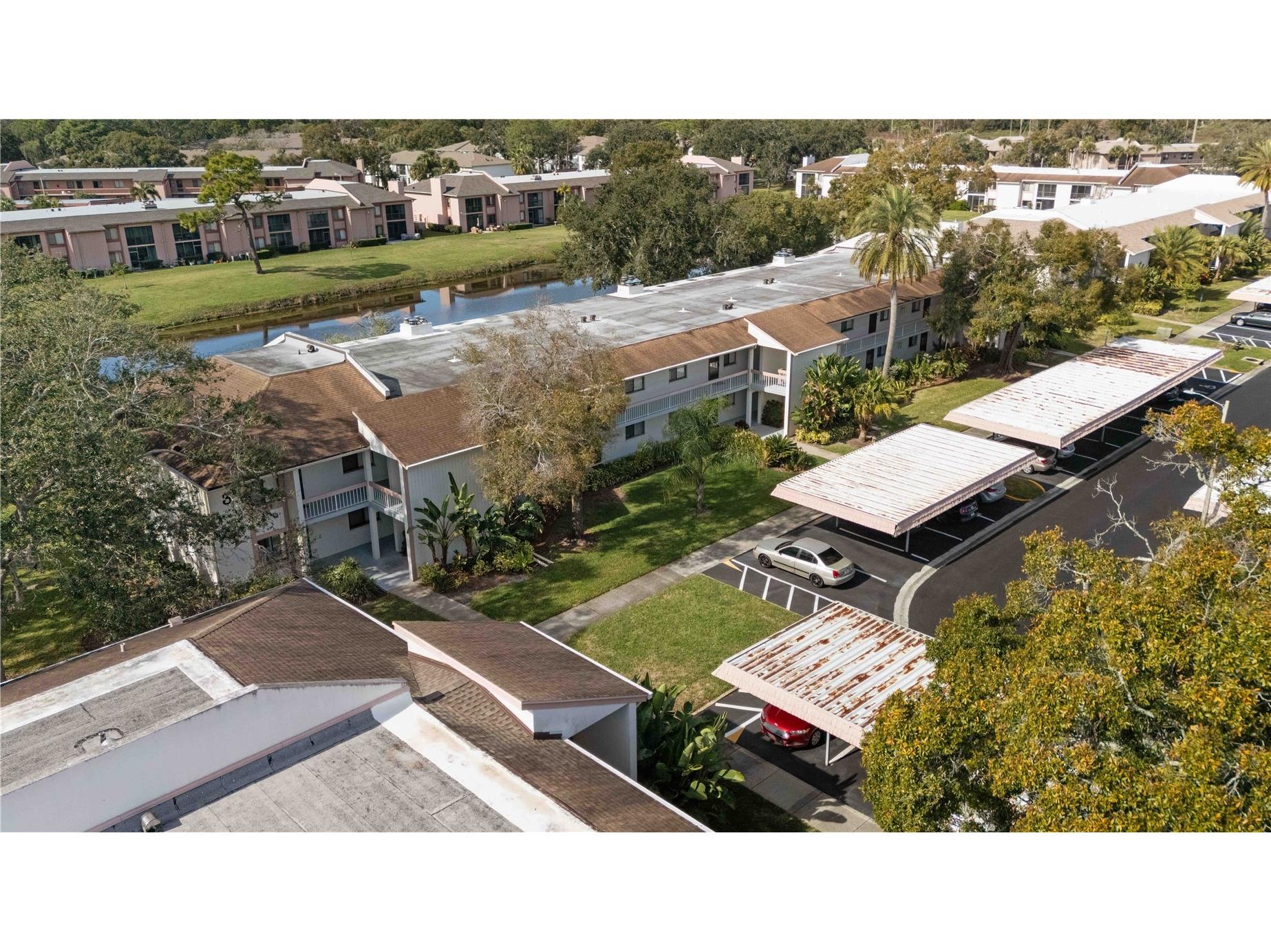 118 Lakeview Way #118 Oldsmar FL 34677 A4677135 image45