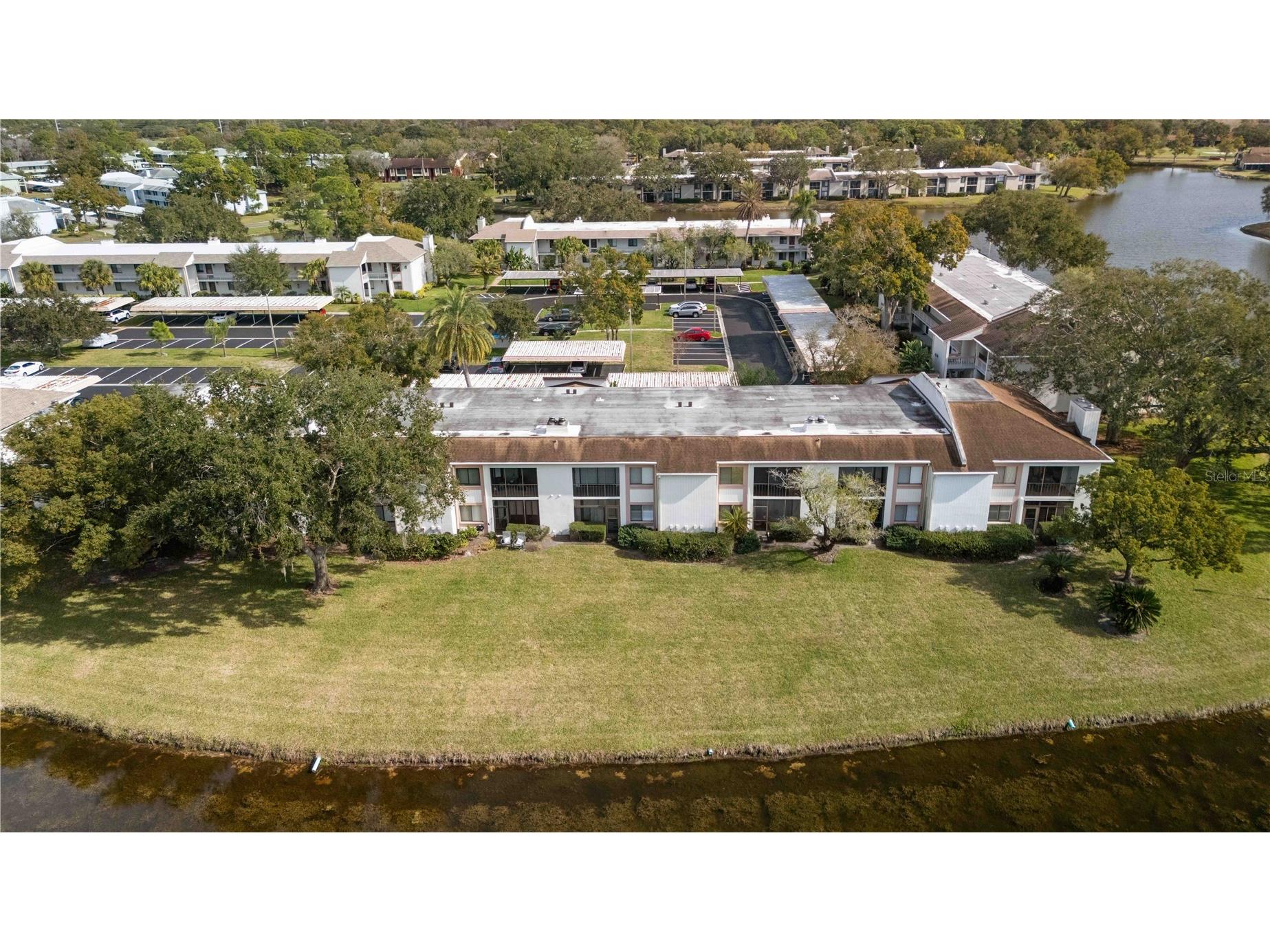 118 Lakeview Way #118 Oldsmar FL 34677 A4677135 image46