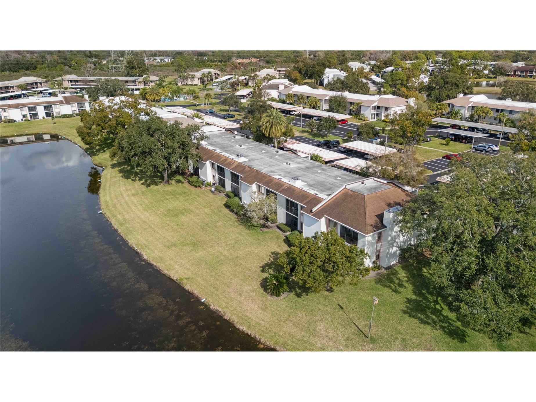118 Lakeview Way #118 Oldsmar FL 34677 A4677135 image47