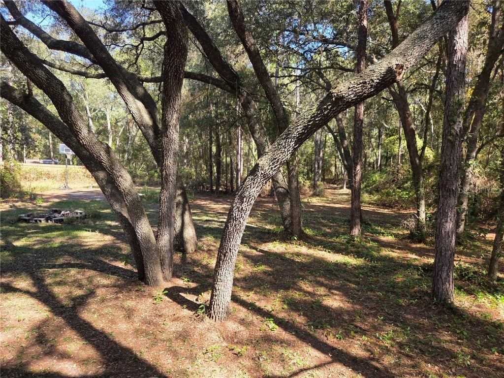 118 Lemon Street Melrose FL 32666 GC535482 image32