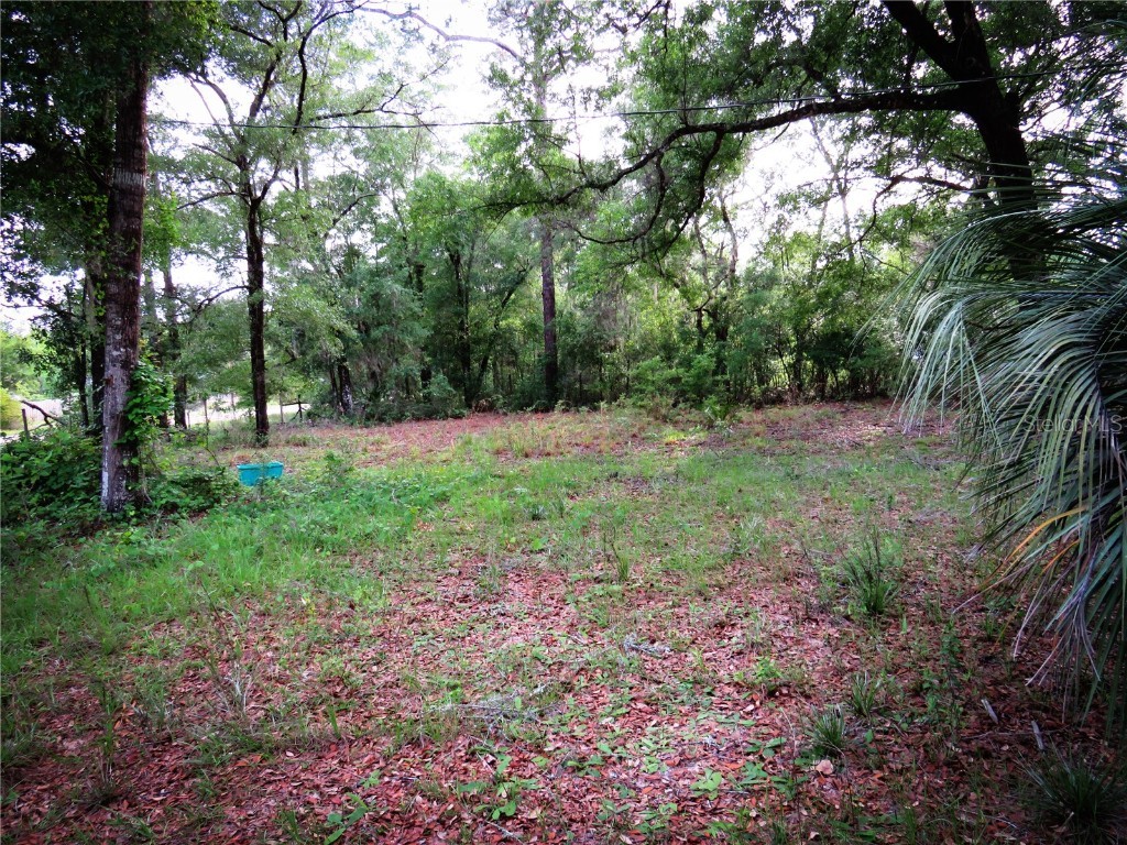 118 Millcreek Drive Melrose FL 32666 O6317772 image38