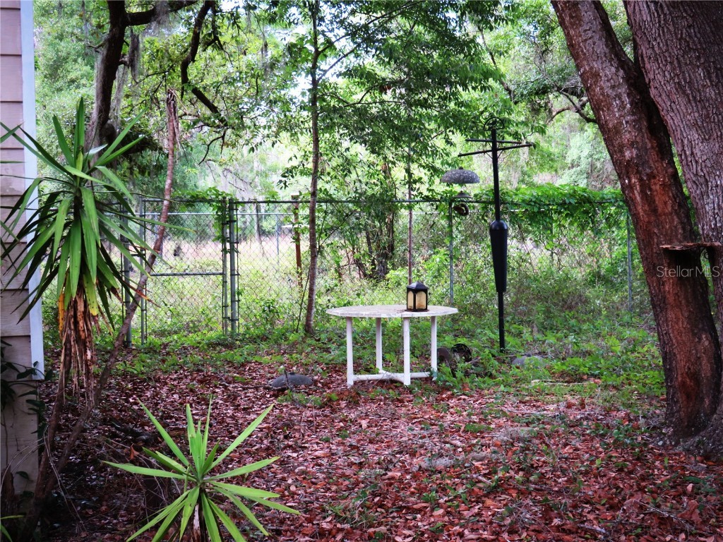 118 Millcreek Drive Melrose FL 32666 O6317772 image39