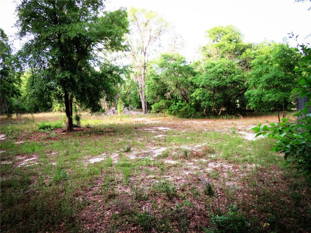 118 Millcreek Drive Melrose FL 32666 O6317772 image42