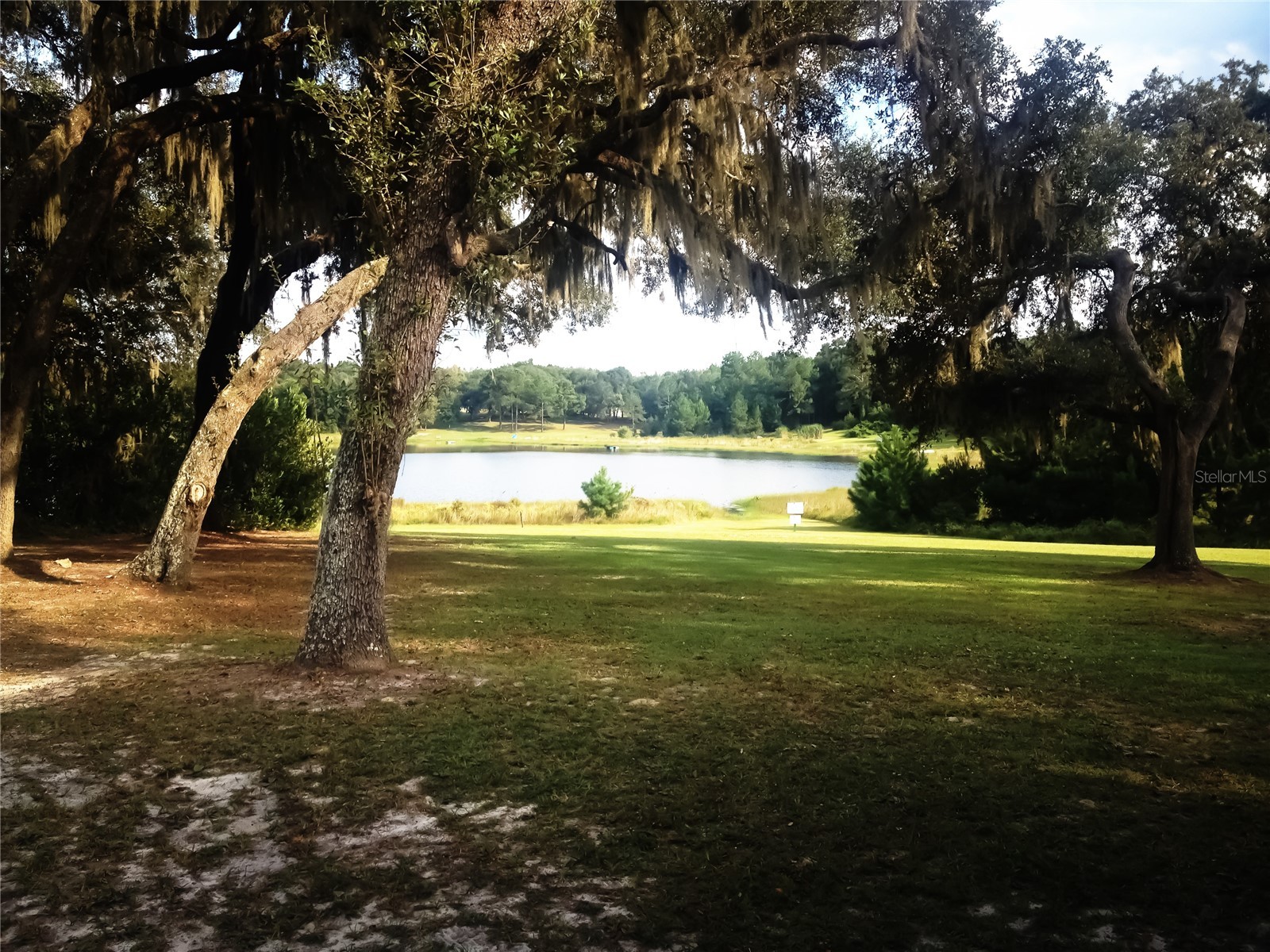 118 Millcreek Drive Melrose FL 32666 O6394527 image32