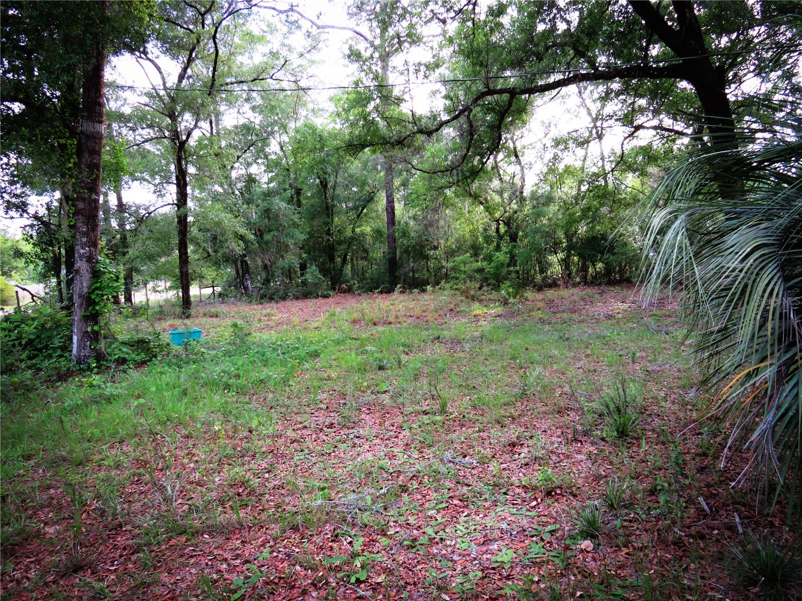 118 Millcreek Drive Melrose FL 32666 O6394527 image38