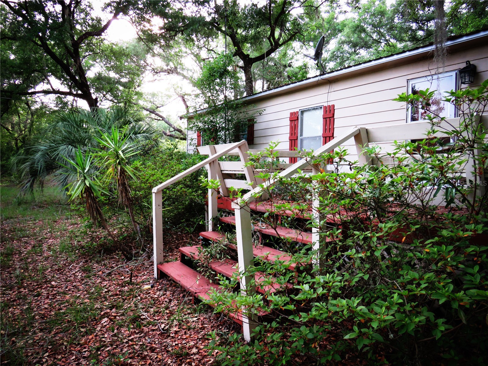 118 Millcreek Drive Melrose FL 32666 O6394527 image40